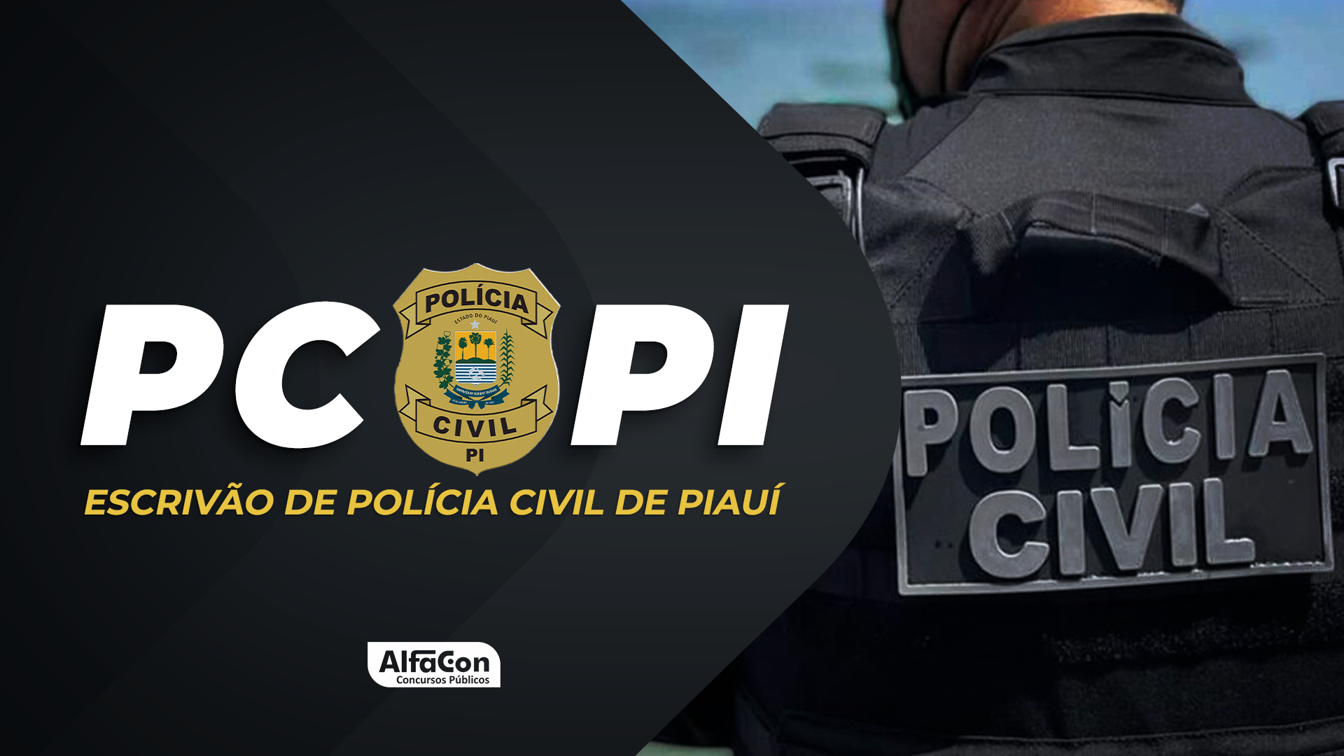 PC PI - Escrivão de Polícia Civil de Piauí