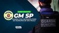 Gm sp metropolitano sa%cc%83o paulo free
