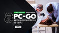 Pc go