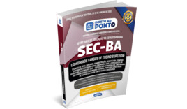 SEDUC/BA - Secretaria de Educação do Estado da Bahia – Comum aos Cargos de Ensino Superior