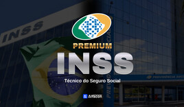 INSS PREMIUM